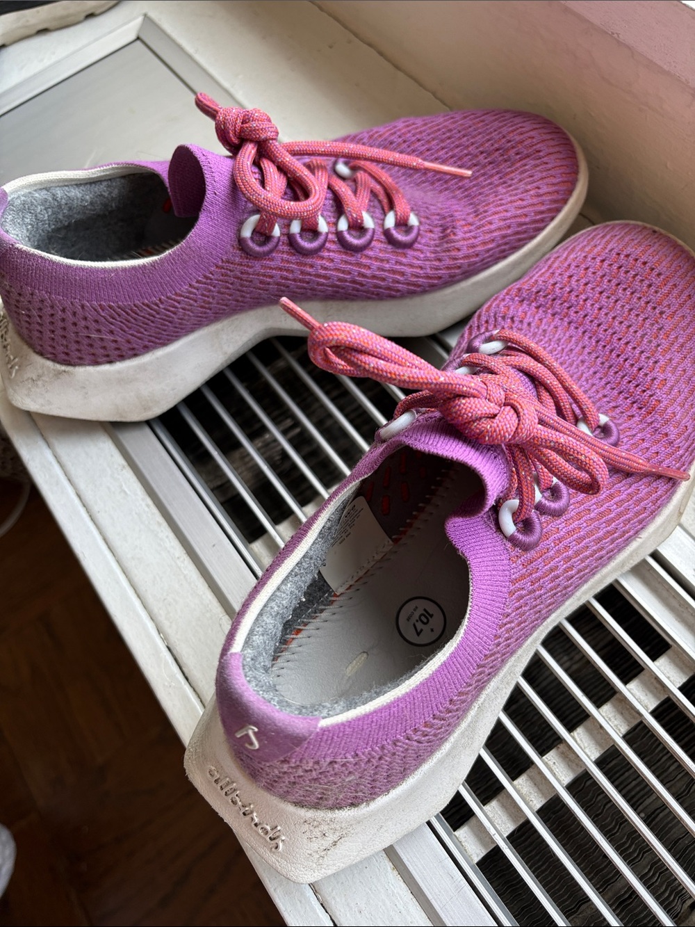Allbirds Purple-Pink Knit Active Sneakers